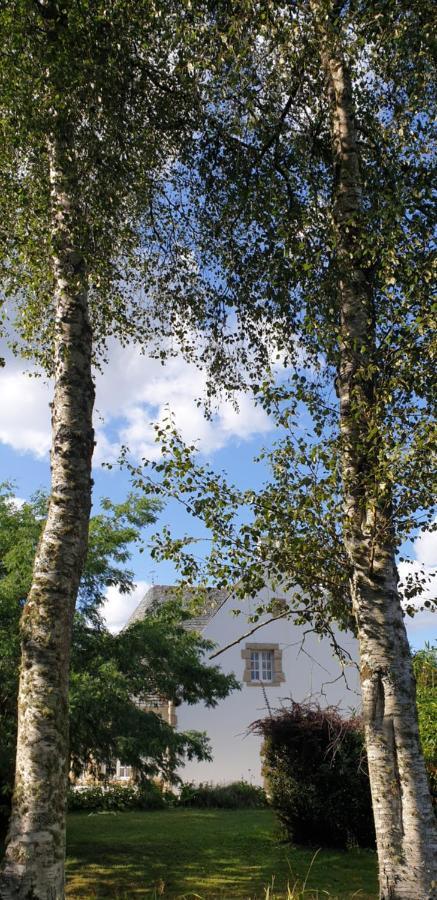 Crown Roads Bed & Breakfast Le Faouët Екстериор снимка